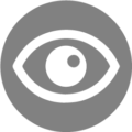 vision